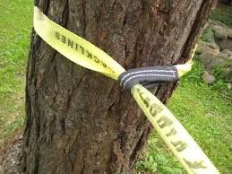 شراء الحبل المتحكم بالبوليستر المخصص للرياضة الخارجية online manufacture